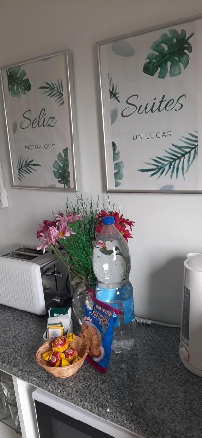 בואנוס איירס Seliz Suites Luminoso, Con Cochera Para Auto Mediano O Pequeno מראה חיצוני תמונה